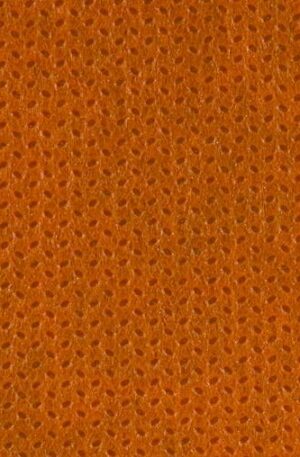 close up of orange texture
