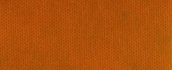 close up of orange texture